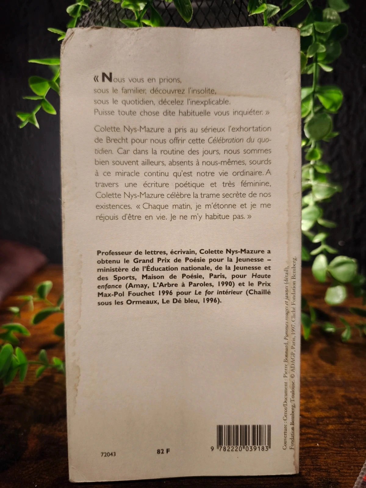 Celebração do cotidiano – photo 2